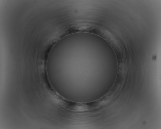 X0000094900510200712131433