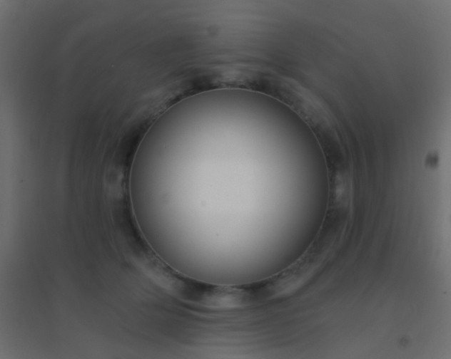 X0000094900514200712131433