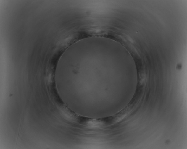 X0000094900515200712131433