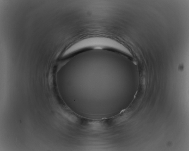 X0000094900516200712131433