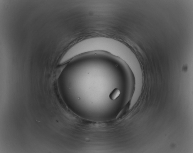 X0000094900517200712131433