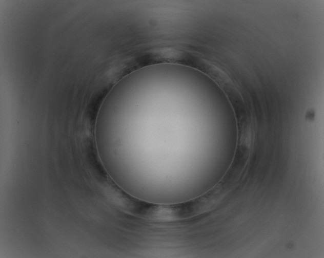 X0000094900518200712131433