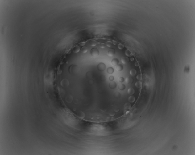X0000094900519200712131433