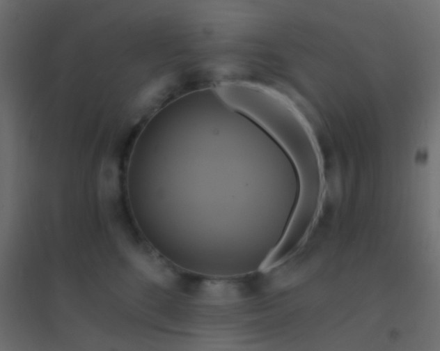 X0000094900520200712131433