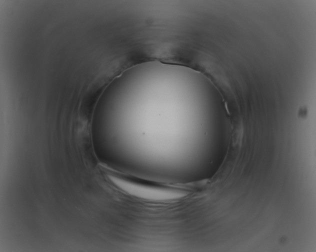 X0000094900521200712131433