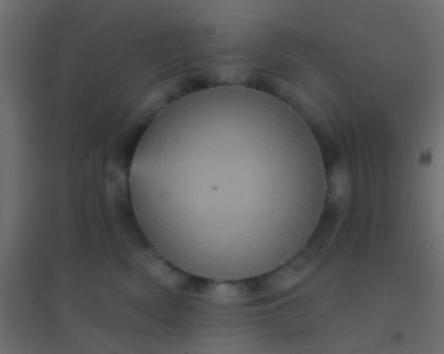 X0000094900522200712131433