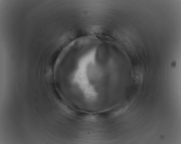 X0000094900523200712131433