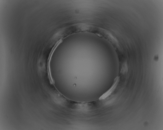 X0000094900524200712131433