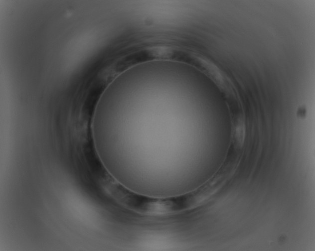X0000094900525200712131433