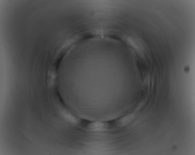 X0000094900526200712131433