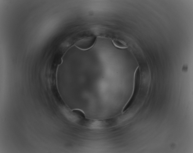 X0000094900527200712131433