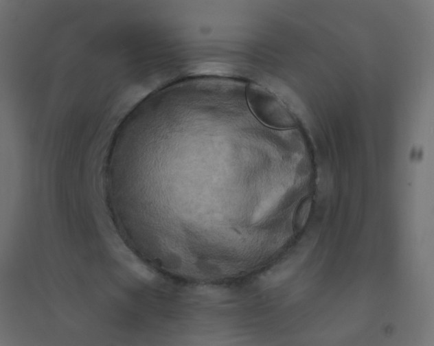 X0000094900529200712131432