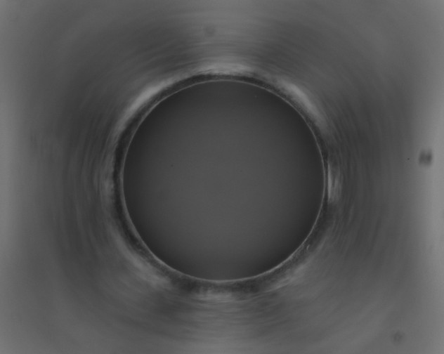 X0000094900531200712131432