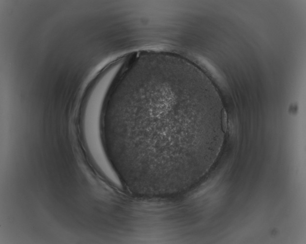 X0000094900532200712131432