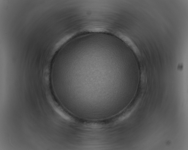 X0000094900533200712131432