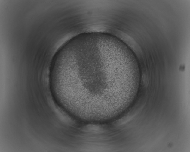 X0000094900534200712131432