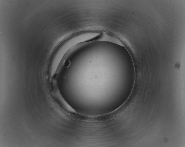 X0000094900535200712131432