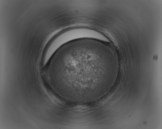 X0000094900536200712131432