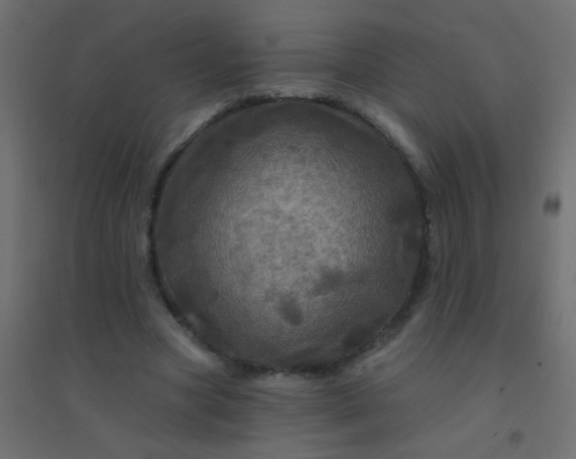 X0000094900537200712131433