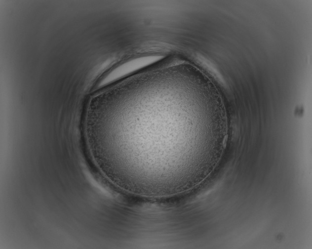 X0000094900538200712131433