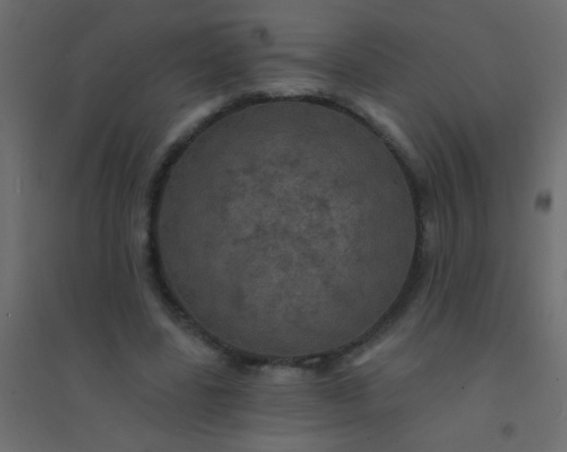 X0000094900539200712131433