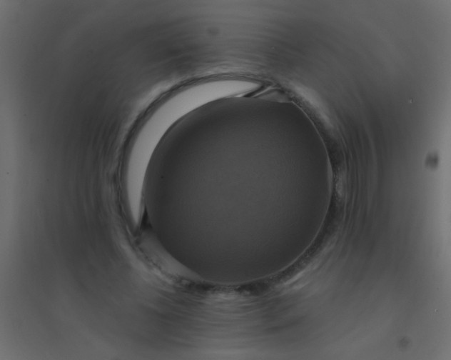 X0000094900540200712131433