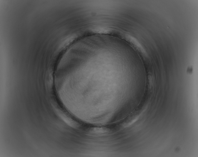 X0000094900541200712131433