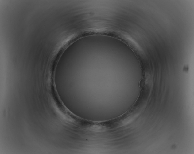 X0000094900542200712131433