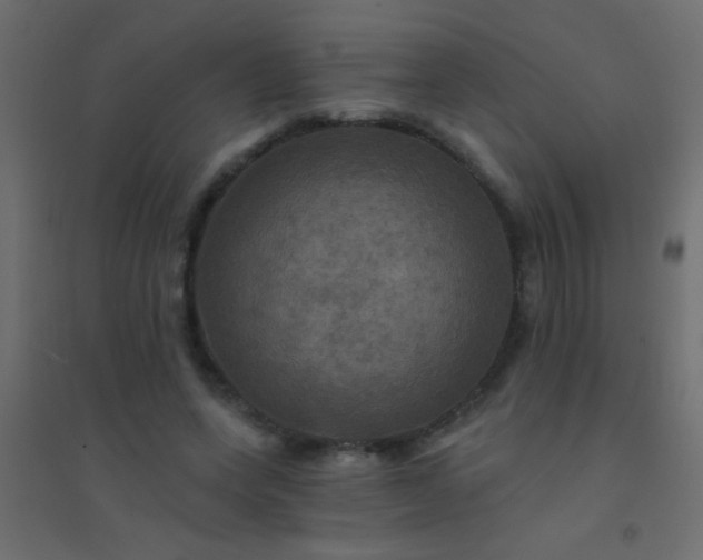 X0000094900543200712131433