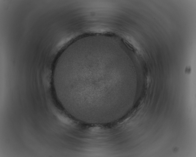 X0000094900544200712131433