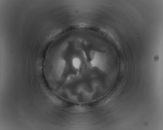 X0000094900545200712131433