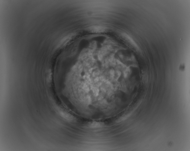 X0000094900549200712131433