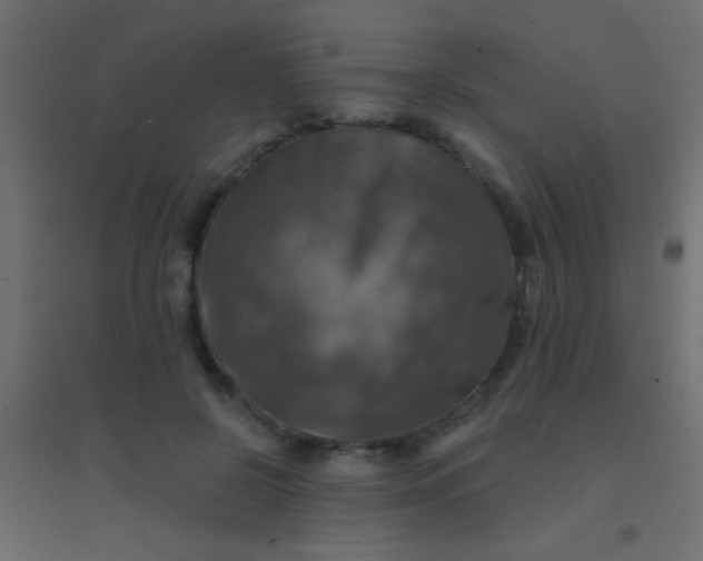 X0000094900550200712131433