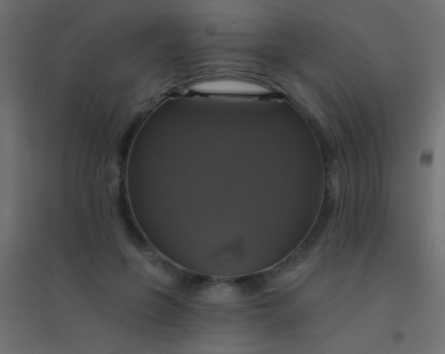 X0000094900551200712131433