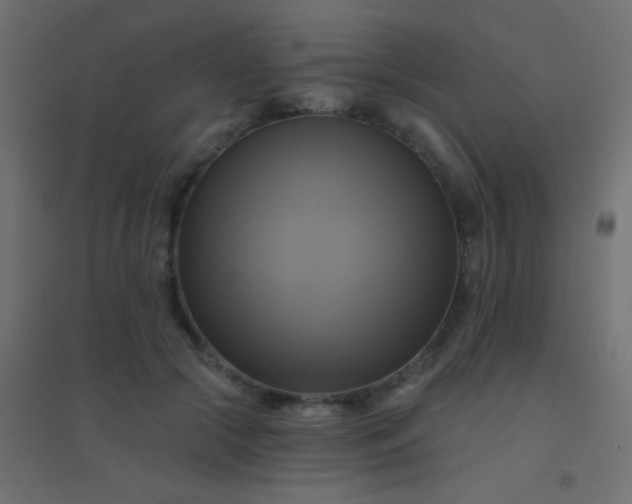 X0000094900553200712131433