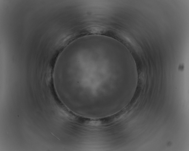X0000094900554200712131433