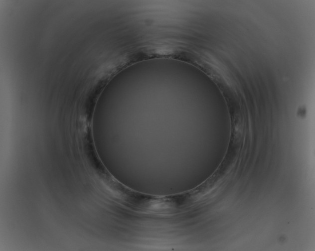 X0000094900555200712131433