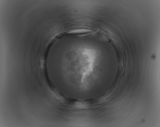 X0000094900556200712131433