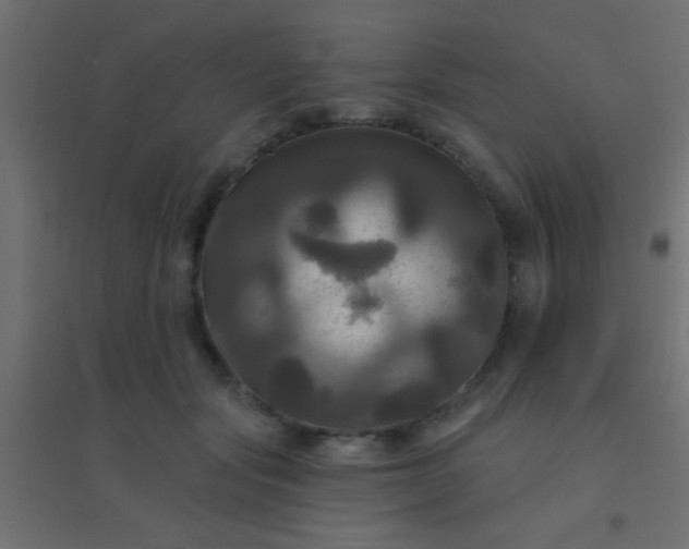 X0000094900557200712131433