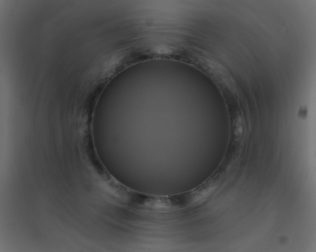 X0000094900559200712131433