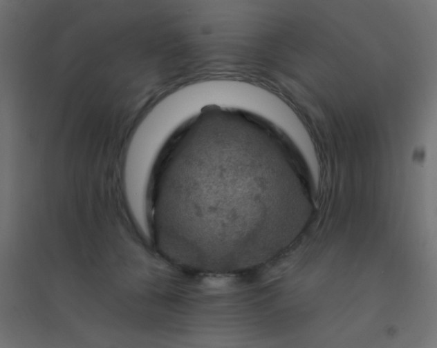 X0000094900560200712131433