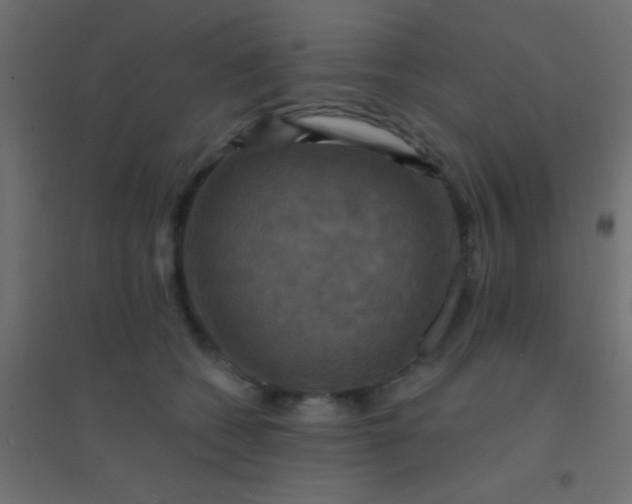X0000094900562200712131433
