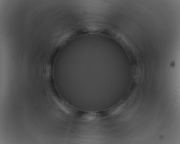 X0000094900563200712131433