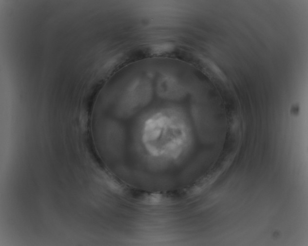 X0000094900565200712131433