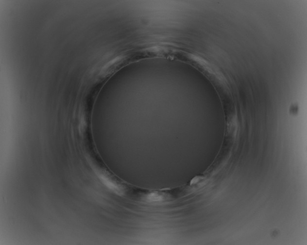 X0000094900566200712131433