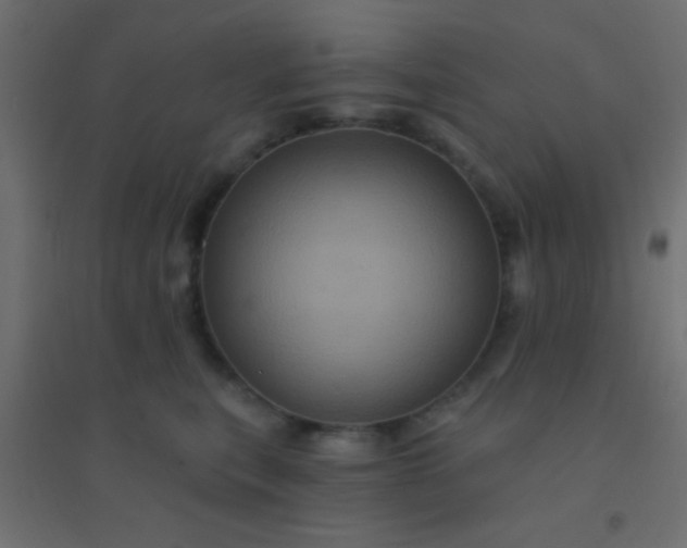 X0000094900567200712131433