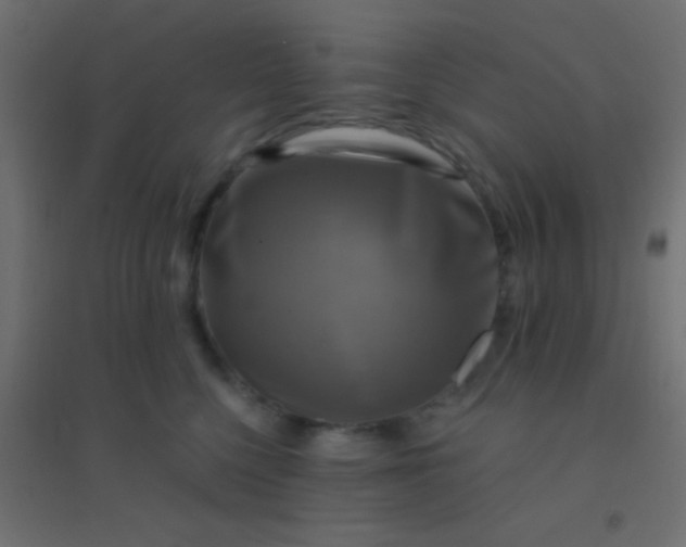 X0000094900568200712131433