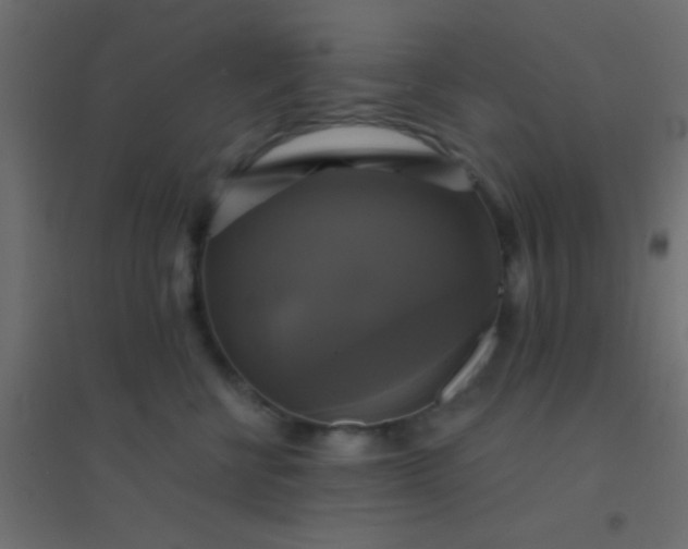X0000094900570200712131433