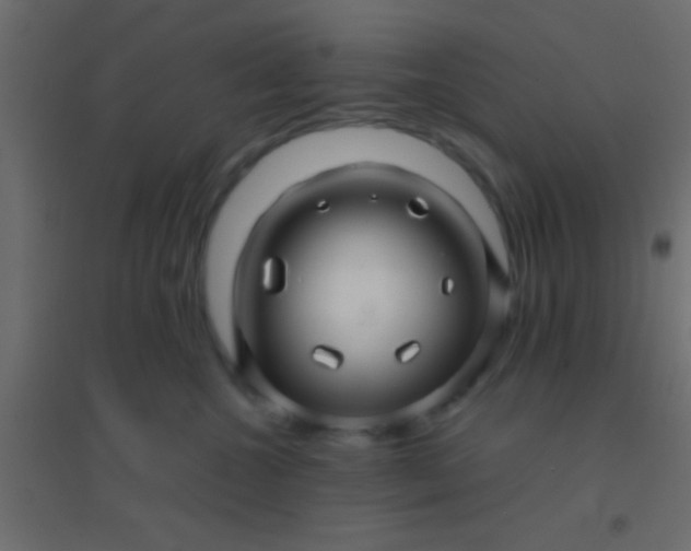 X0000094900572200712131433