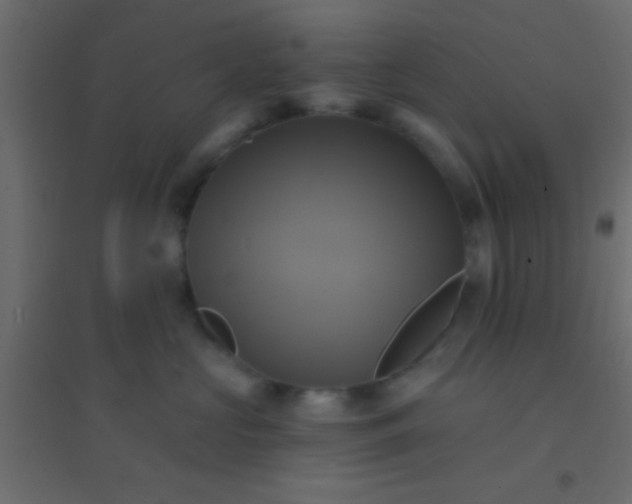 X0000094900573200712131433